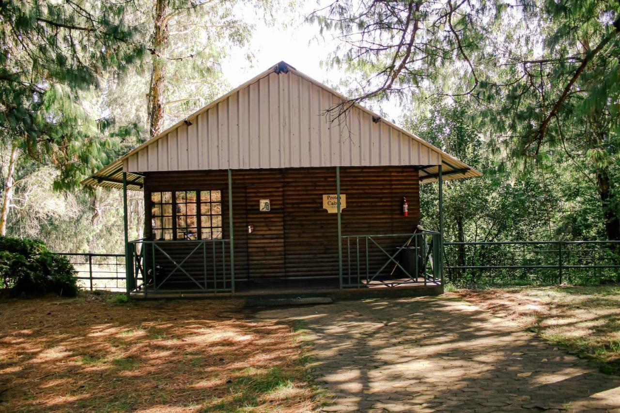 Stoneyhall Farm Accommodation Underberg Zewnętrze zdjęcie